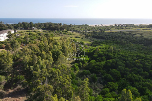 Imagen 7 de 10 de Terrenos Venta Playa Verde