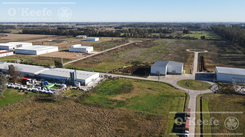 Lote Industrial En Venta Parque Industrial General Rodriguez - Zona Oeste - 2578 M2