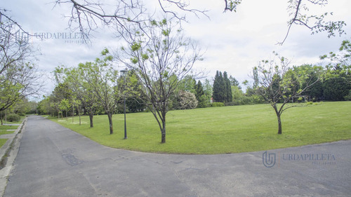Lote Con Muy Buena Ubicación En Venta En Martindale - Teresa Urdapilleta Propiedades