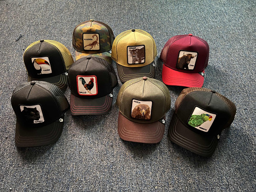 Gorra Goorin Bros