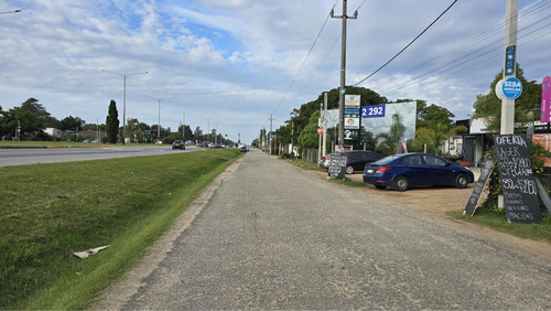 Vendo Llave De Comercio Agropecuaria Y Pet Shop Ruta Inter B