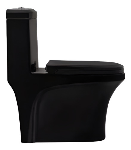 Sanitario Wc One Piece Joytek Descarga A Piso 30 Cm Negro