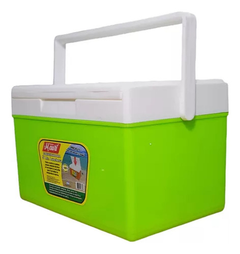 Conservadora Lunchera Escolar Colegio Termica Mauri 5 Lts Color Verde