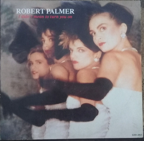 Lp Vinil Robert Palmer I Didn't Mean To Turn You On 1985