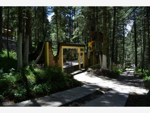Imagen 9 de 12 de Terreno En Venta Mineral Del Monte Centro