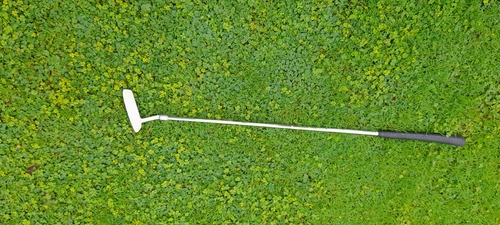 Putter Power Bilt Plateado Derecha Putter (Usado)