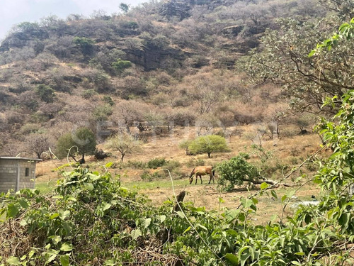 Terreno En Venta En Malinalco, Estado De México