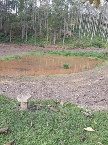 Imagem 5 de 15 de Ref.: 17534 - Fazenda Em Jacupiranga Para Venda - 17534