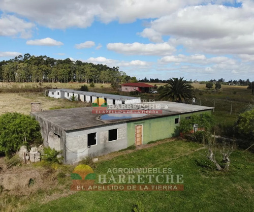 Chacra 4 Has Cno Calpino En Montevideo Rural