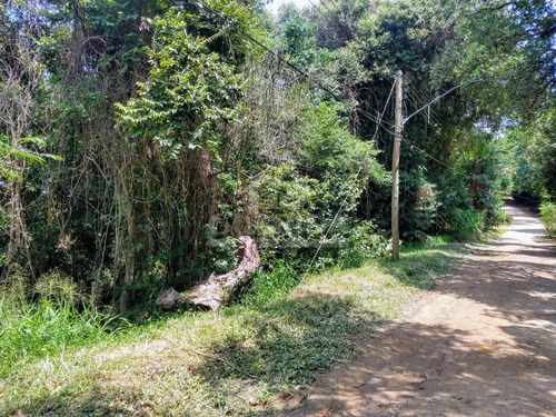 Imagem 5 de 6 de Terreno - Belem Novo - Ref: 198753 - V-198865