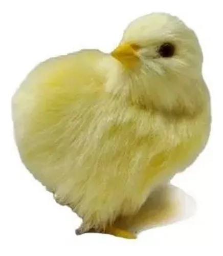 2 Pollitos Peluche Realista Felpa Sintetica Adorno Pollos