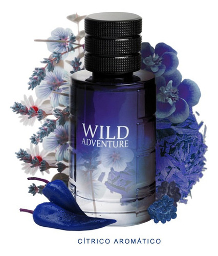 Wild Adventure 100 ml Edt - Linn Young Volumen por unidad 100 ml