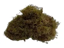 Comprar Musgo Para Kokedama X 4 Lts Tutor Bonsai Maceta Suelo Deco 