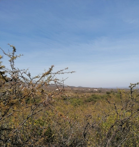 Único Terreno De 2,6 Hectáreas - La Población, Córdoba