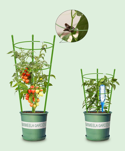 Paquete De 4 Jaulas Para Tomates Con Soporte Para Plantas...
