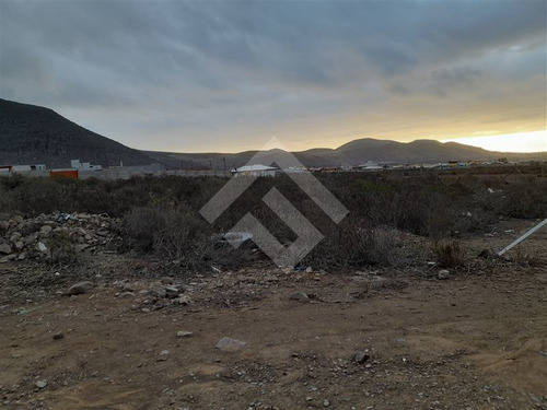 Imagen 2 de 5 de Industrial En Arriendo En Coquimbo