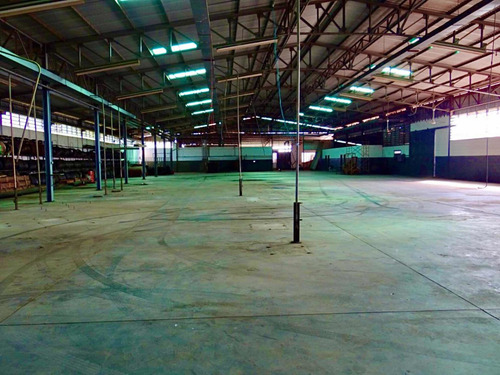 Imagen 10 de 12 de Los Anaucos Galpon Alquiler Muy Barato 4150 M2