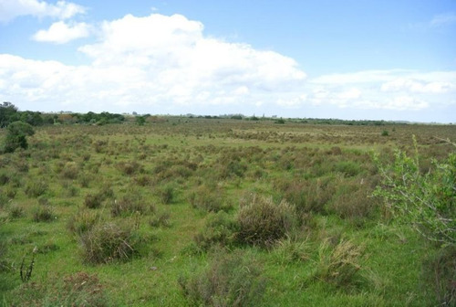 Campo En Venta