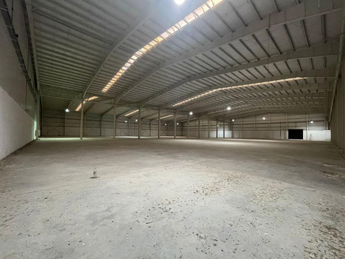 Imagen 28 de 30 de Fracción Industrial 26 Ha. Galpón 12.800 M² Cub. - Carlos Spegazzini