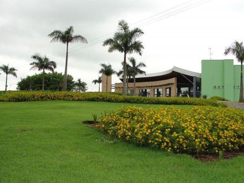 Terreno Em Rodovia, Sertanópolis/pr De 0m² À Venda Por R$ 327.000,00 - Te816324