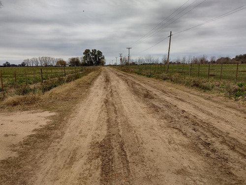 Imagen 5 de 9 de Venta De Fraccion 3.5 Ha San Andrés De Giles - Cucullu