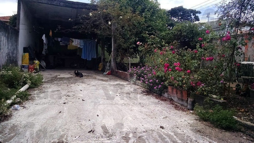 Imagem 5 de 8 de Terreno Para Venda, 250.0m² - 26275