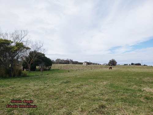 Lote B° Arenas De Oro Miramar 300 Mts2 V6407 Con Escritura V6407