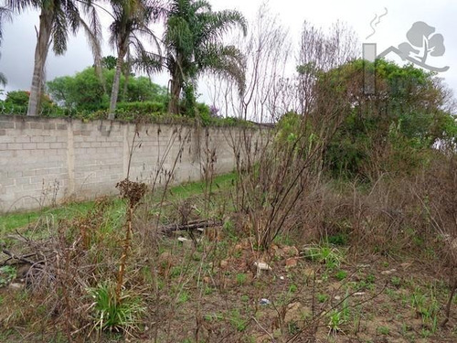 Imagem 5 de 14 de Cód 3120 - Belíssimo Terreno Com Escritura Definitiva - 3120