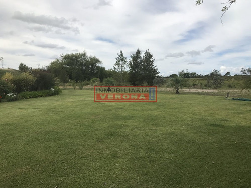 Imagen 18 de 30 de Venta De Chacra Sobre Ruta 9 A 30 Km De Jose Ignacio