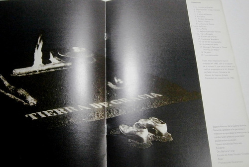 Imagen 4 de 6 de Pedro Terán. Dorado. Catálogo.