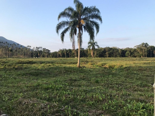 Imagem 21 de 29 de Fazenda À Venda, 3509000 M² Por R$ 2.000.000 - Centro - Pariquera-açu/sp - Fa0216