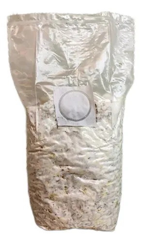 Semilla (micelio) Hongo Ostra - Bolsa 2 Kilos