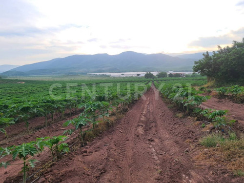 Venta Rancho Los Asmoles Colima