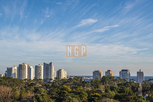 Imagen 1 de 20 de Hermoso Departamento En Venta.