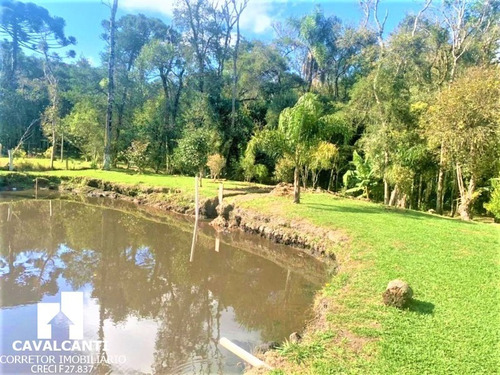 Imagem 5 de 17 de Chacara - Ch00020 - 71023609