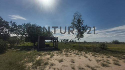 Imagen 12 de 15 de Gran Terreno En Venta En Junin De Casi 10.000 Metros