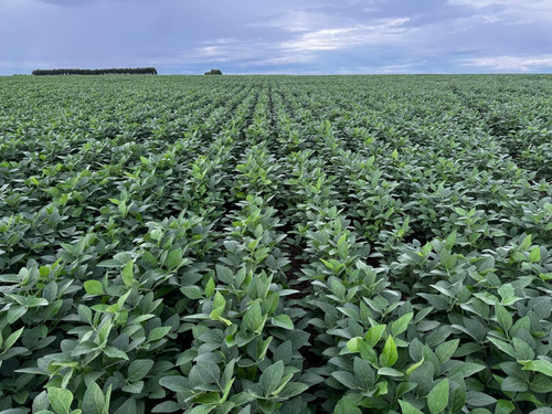 2318ha-excelente [area C/ Valor Abaixo De Mercado