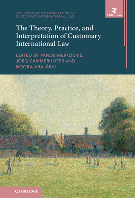 Libro The Theory, Practice, And Interpretation Of Customa...