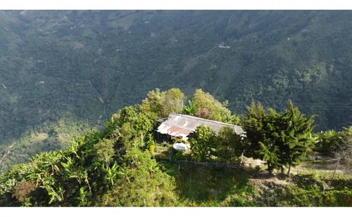 Venta Finca 77000 Mts2 Abejorral Vereda El Guaico