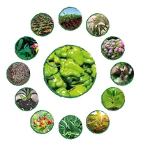 Comprar Kit Completo De Fertilizantes Para Ají Habanero Verde