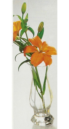 Imagen 3 de 3 de Florero Novoctime Arcoroc Soliflor 20 Cm