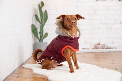 Buzo Abrigo Campera Ropa Perro Small Medium Large Cocooning Color Burgundy Large Winter Sailor Parka 9058