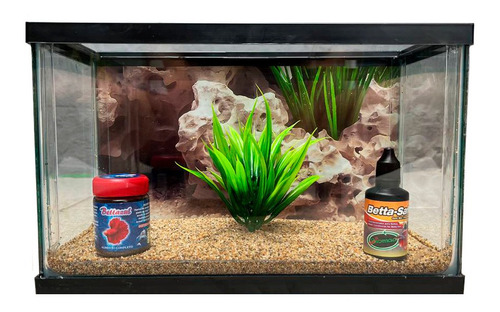 Acuario Pecera Vidrio De 10 Litros Para Betta Kit Completo