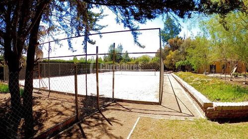 Parcela En Arriendo En Colina