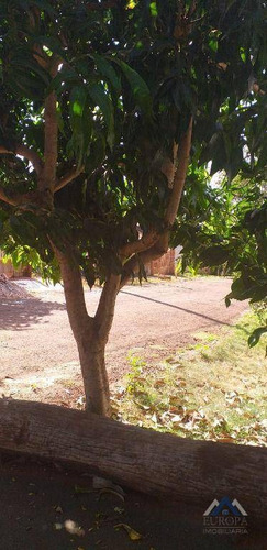 Imagem 19 de 22 de Chácara À Venda, 1695 M² Por R$ 250.000,00 - Esperança Do Norte - Alvorada Do Sul/pr - Ch0211