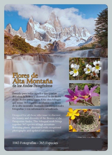 Flores Alta Montaña Plantas Patagonia Y Andes Centrales Arg