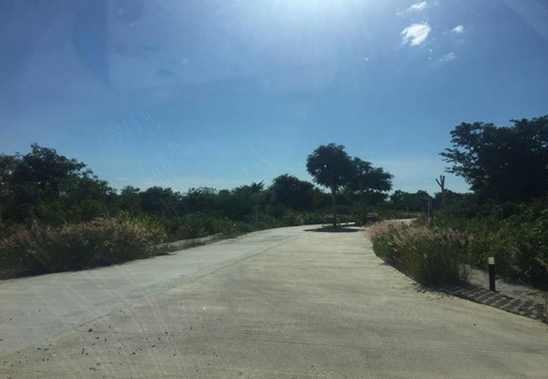 Imagen 3 de 13 de Lote De Terreno En Venta Dentro De Privada Con Amenidades En