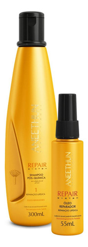 Shampoo Aneethun Kit Shampoo E Oleo Pos Quimica Aneethun Linha Repair System Kit Shampoo E Oleo Pos Quimica Aneethun Linha Repair System En Kit