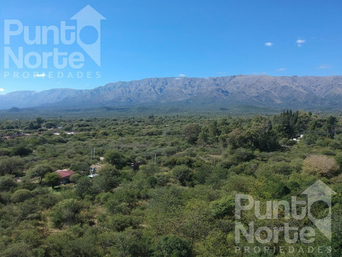 Imagen 10 de 16 de Terreno - Piedra Blanca Abajo