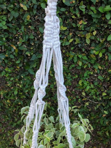 Suporte De Plantas